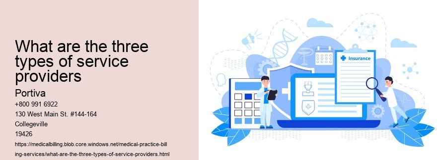What are the three types of service providers
